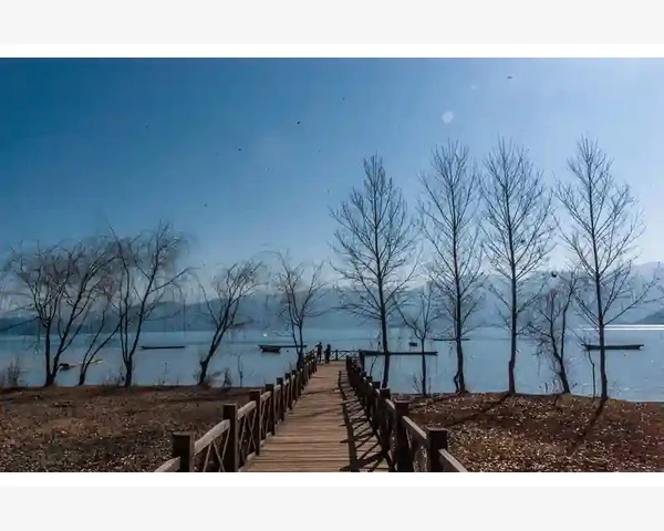 MT4成交编号在客服沟通中的作用_浮动盈亏如何实时影响净资产数值
