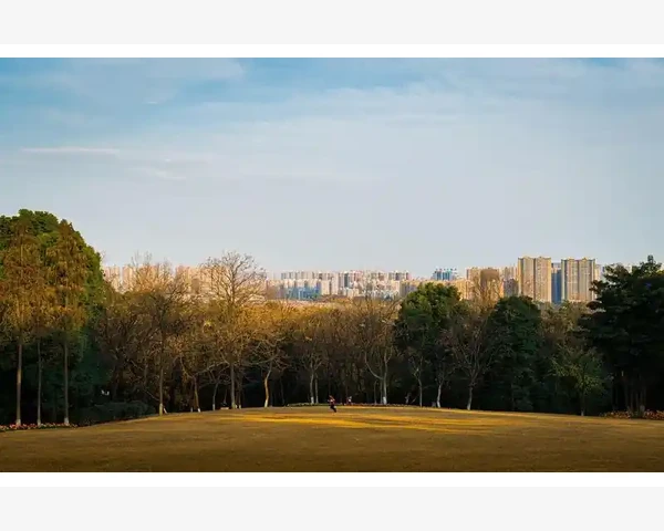 MT4指标颜色随正负数值自动变色设置方法_如何调整时间格式与排序
