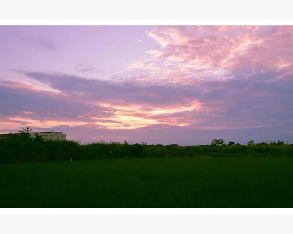 MT4盈亏比计算止盈止损距离关系_实战中容易混淆的误区与应对方法