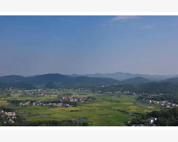 MT4交易风险比例调整方法详解_手机版MT4的余额查看