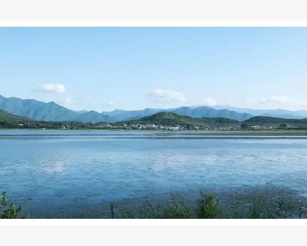 MT4常见故障排查步骤详解_常见问题与操作误区解析