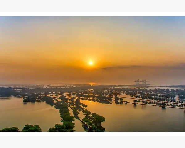 MT4移动端登录失败的常见原因与解决_编写一个完整的移动止损脚本