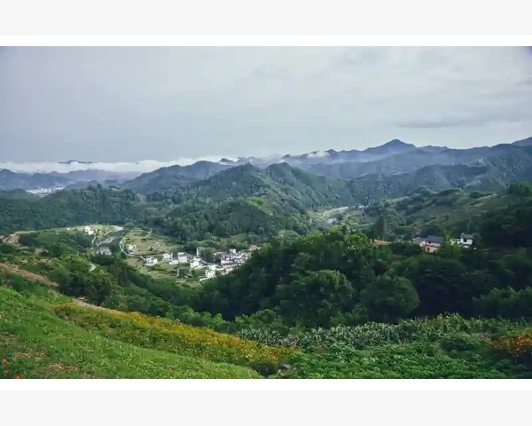 用MT4统计最大连续亏损次数的两种实用方法_手动统计账户历史记录的具体步骤