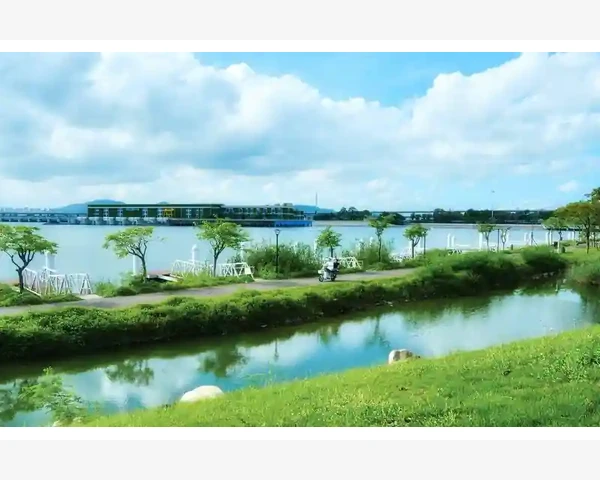 移动止损总被震荡扫掉用平均波动幅度设置最稳_震荡行情为什么容易扫掉移动止损