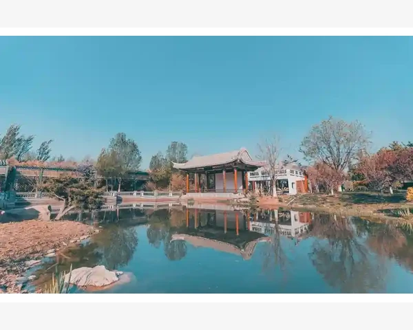 MT4价格标签固定位置问题与手动调整技巧_利用技术指标辅助分析走势