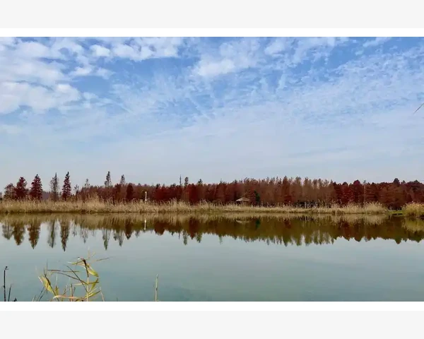 MT4智能交易没反应先检查自动交易按钮状态_自动交易按钮的两种状态决定了EA能否工作_1