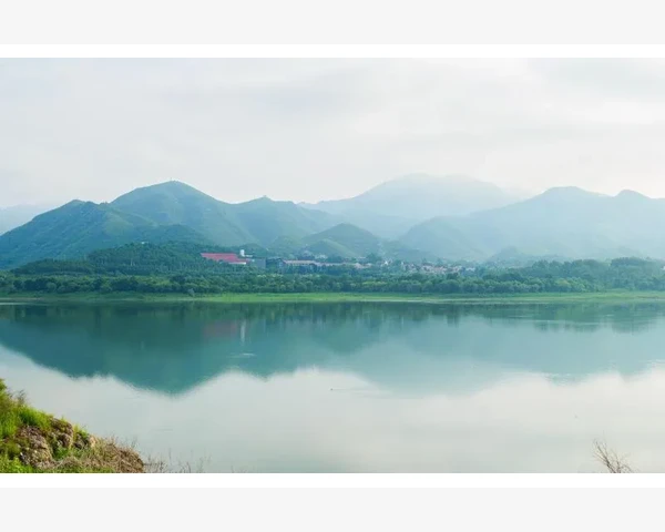 MT4关闭多余行情窗口的简单方法_利用诊断工具检测数据流