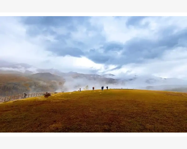 MT4用ADX指标判断趋势强弱的实用方法_自定义快捷键与效率提升建议