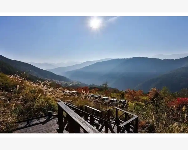 MT4图表网格显示效果设置教程_结合多时间框架验证回调线的有效性