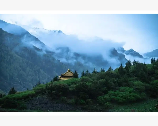 MT4图表显示数量修改方法详解_图表显示数量的默认限制与问题场景_3